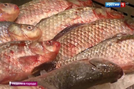 Рыбная неделя в Москве завершилась роскошной ухой